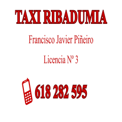A_3650_M_3684_3967_Taxista Francisco Javier Piñeiro_ Lic. 3.jpg